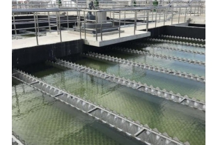 【干貨】有機(jī)物導(dǎo)致的氨氮超標(biāo)?這種情況該如何處理呢？